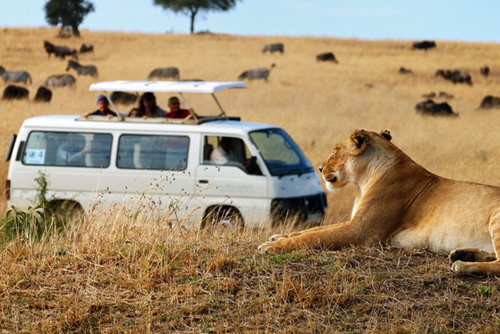 3-days-kenya-safari-banner