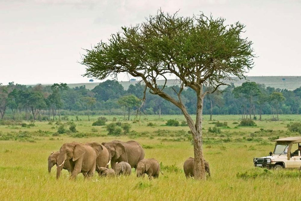 4-days-adventure-tanzania-safari-banner