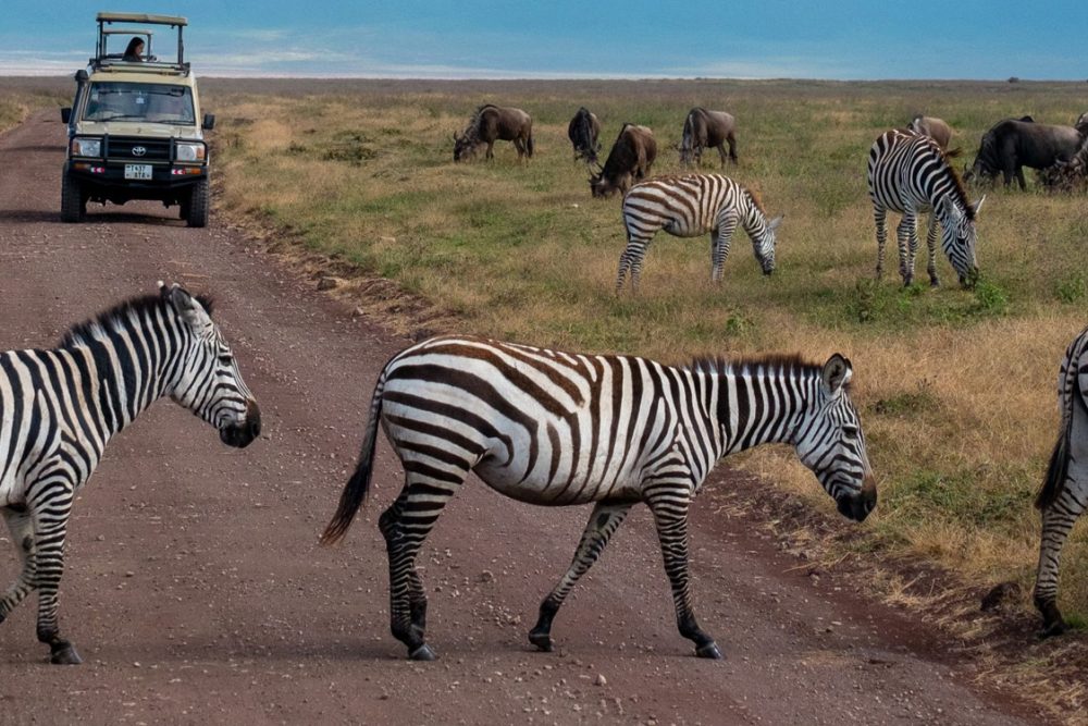 6-days-adventure-tanzania-safari-2-banner